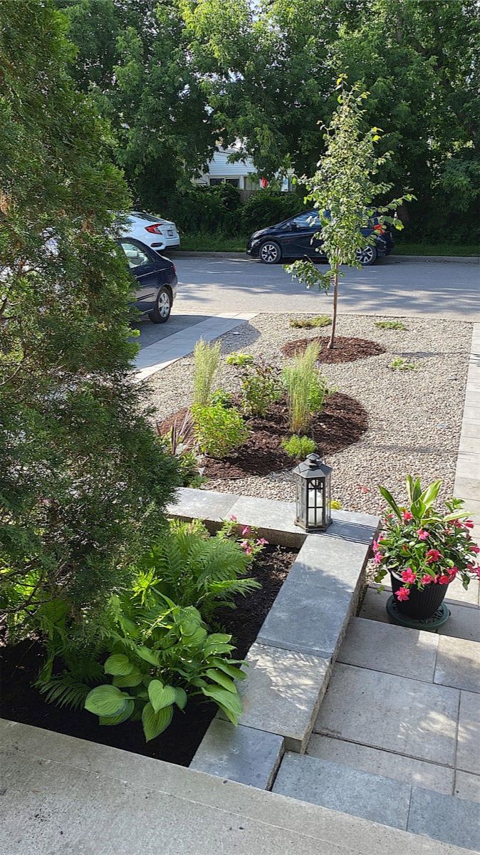 Short flight of grey stone steps with a low stone wall and a planted bed of hostas, grasses and a young tree