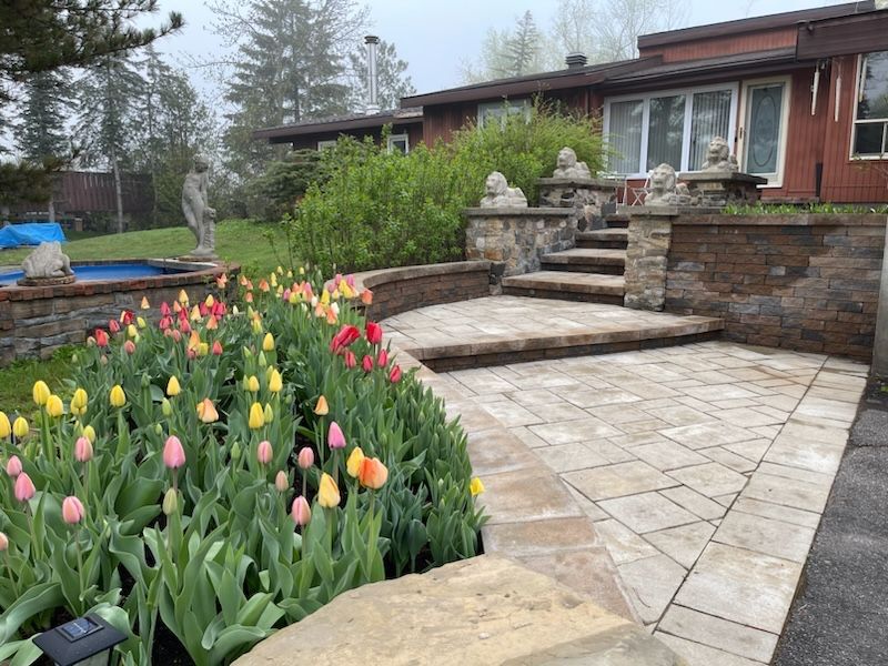 Beige paver walkway curving up to stone steps, a stone retaining wall and lion statues, with a bed of tulips in the foreground